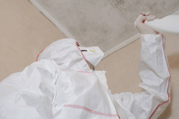 Certified Mold Removal in Mineral Ridge, OH